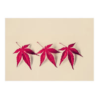 Dancing Leaves (Print Only)