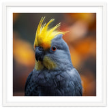Close-up Portrait of a Yellow Cockatoo in the Wild. thumbnail