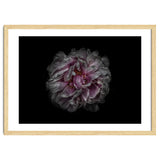 Backyard Flowers No 118 Color Version thumbnail