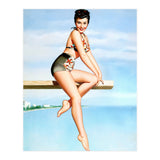 Smiling Sexy Pinup Girl Posing On A Board (Print Only) thumbnail