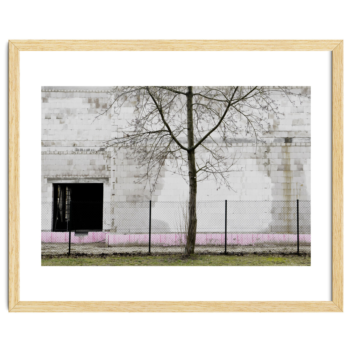 A tree in front of the wall