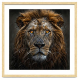 Majestic Lion With Glowing Eyes Close Up Portrait thumbnail