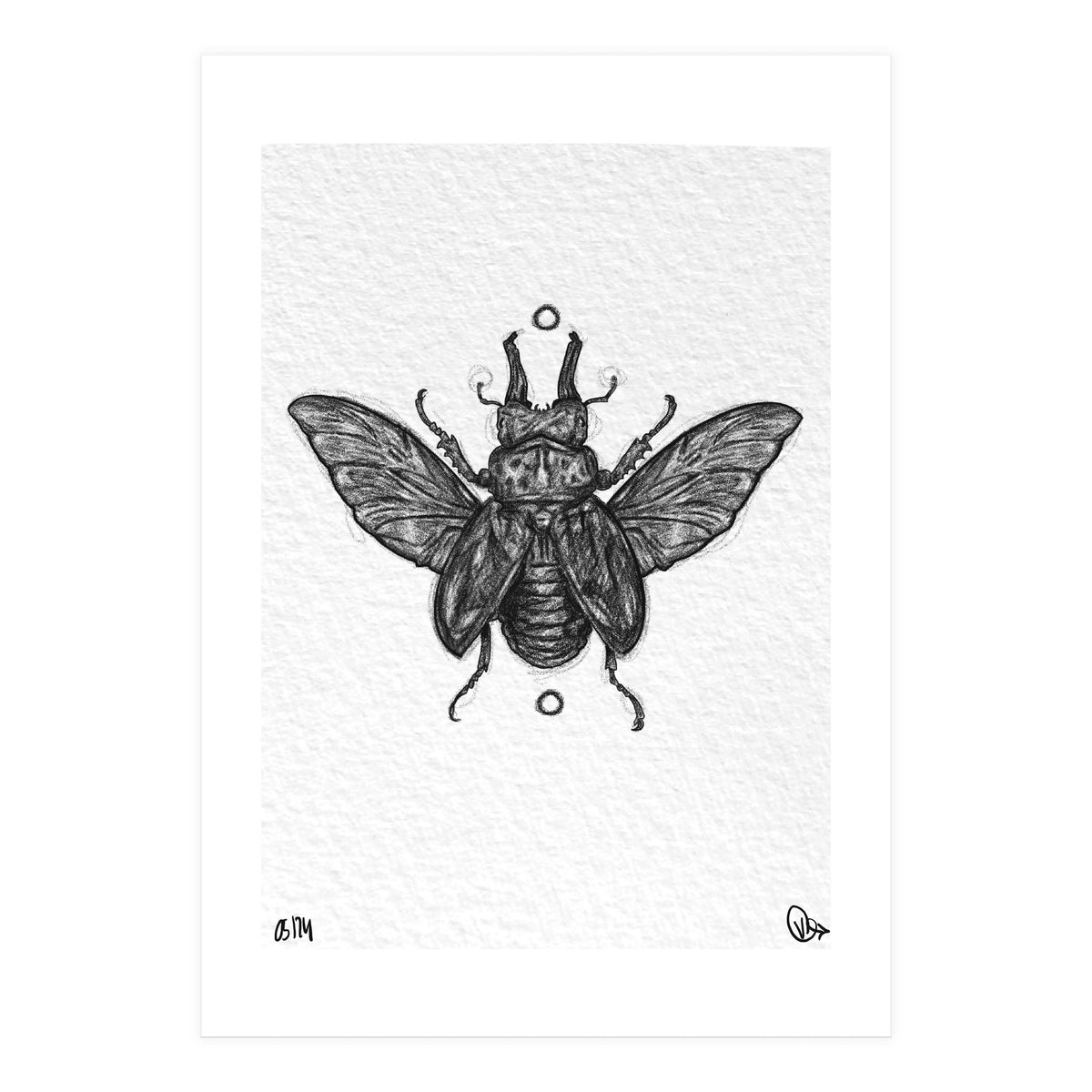 Hirschkäfer  (Print Only)