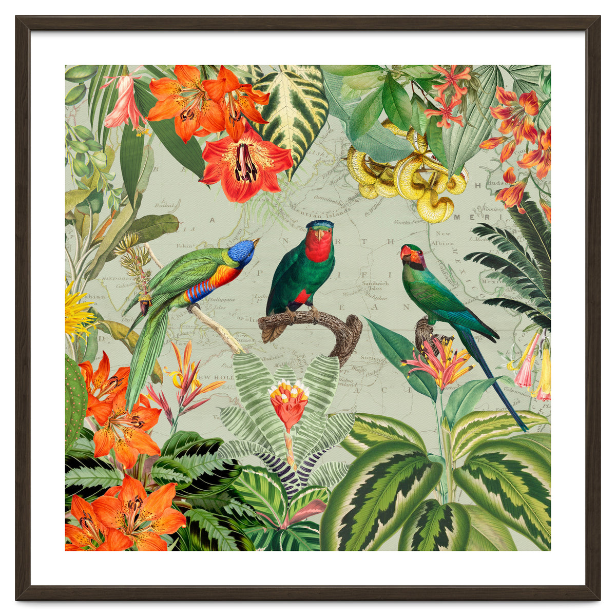 Exotic Parrots Jungle Landscape