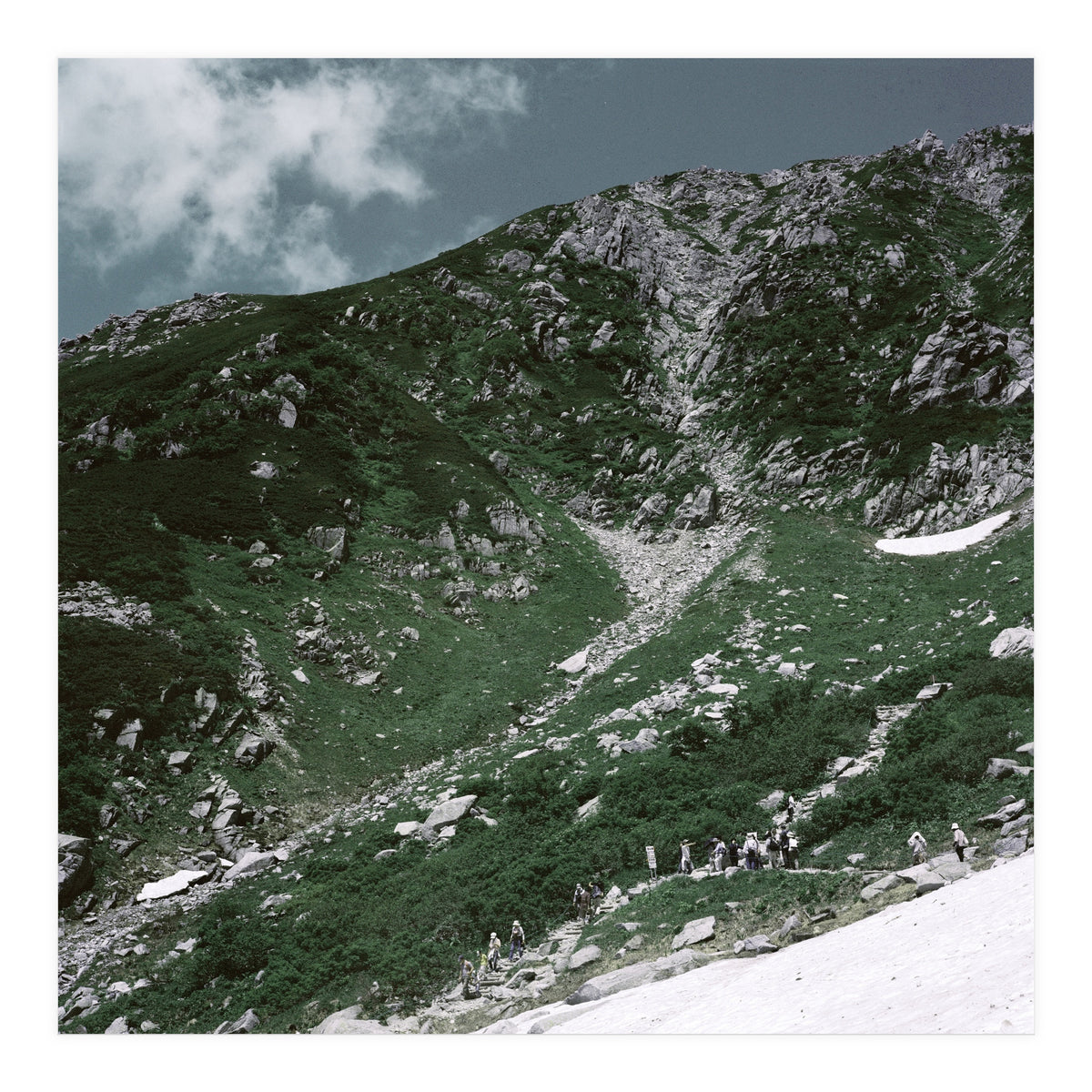 SKIN OF NATURE - WILD CLIFF (Print Only)