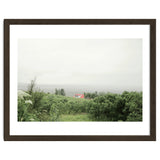 Red Roof house in between the summer green field - Iceland thumbnail