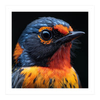 Vibrant Bird With Orange And Blue Plumage (Print Only)