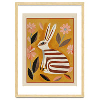 Striped Hare