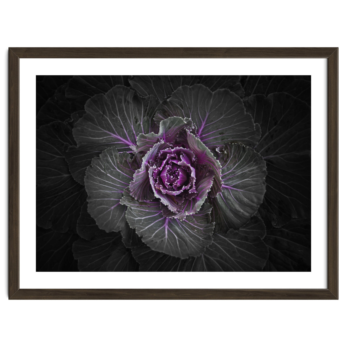 Backyard Flowers No 108 Color Version