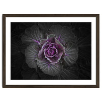 Backyard Flowers No 108 Color Version