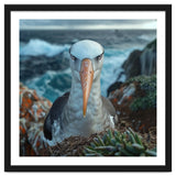 Black Browed Albatross Perched On Nest Near Ocean thumbnail