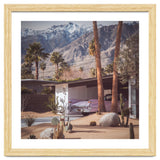 Palm Springs Pink II thumbnail
