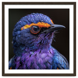 Close Up Portrait Of A Vibrant Exotic Bird thumbnail