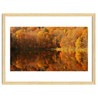 Autumn Reflections