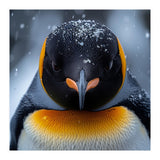 Close Up King Penguin In The Snow (Print Only) thumbnail