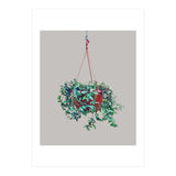 Hanging Plant (Print Only) thumbnail
