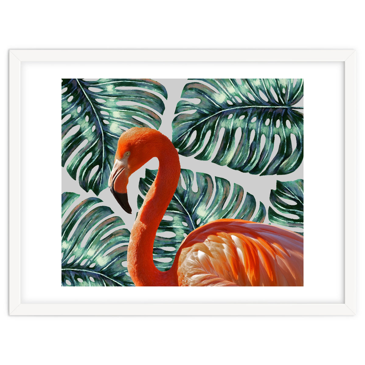 Flamingo Self Portrait