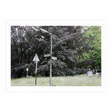Signs at the corner of the street (Print Only) thumbnail