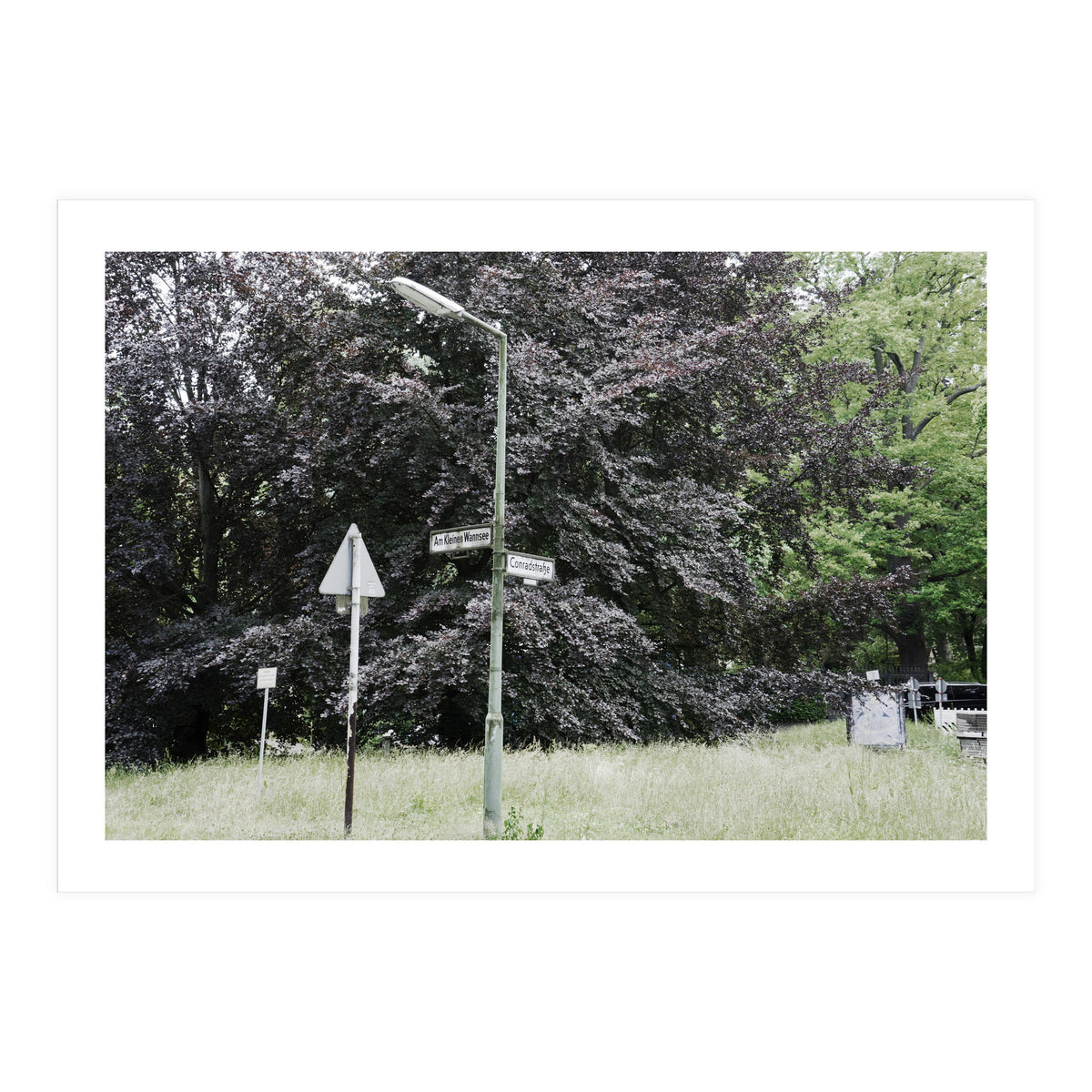 Signs at the corner of the street (Print Only)