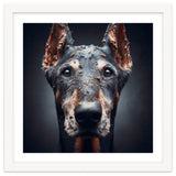 Old Dog 05 thumbnail