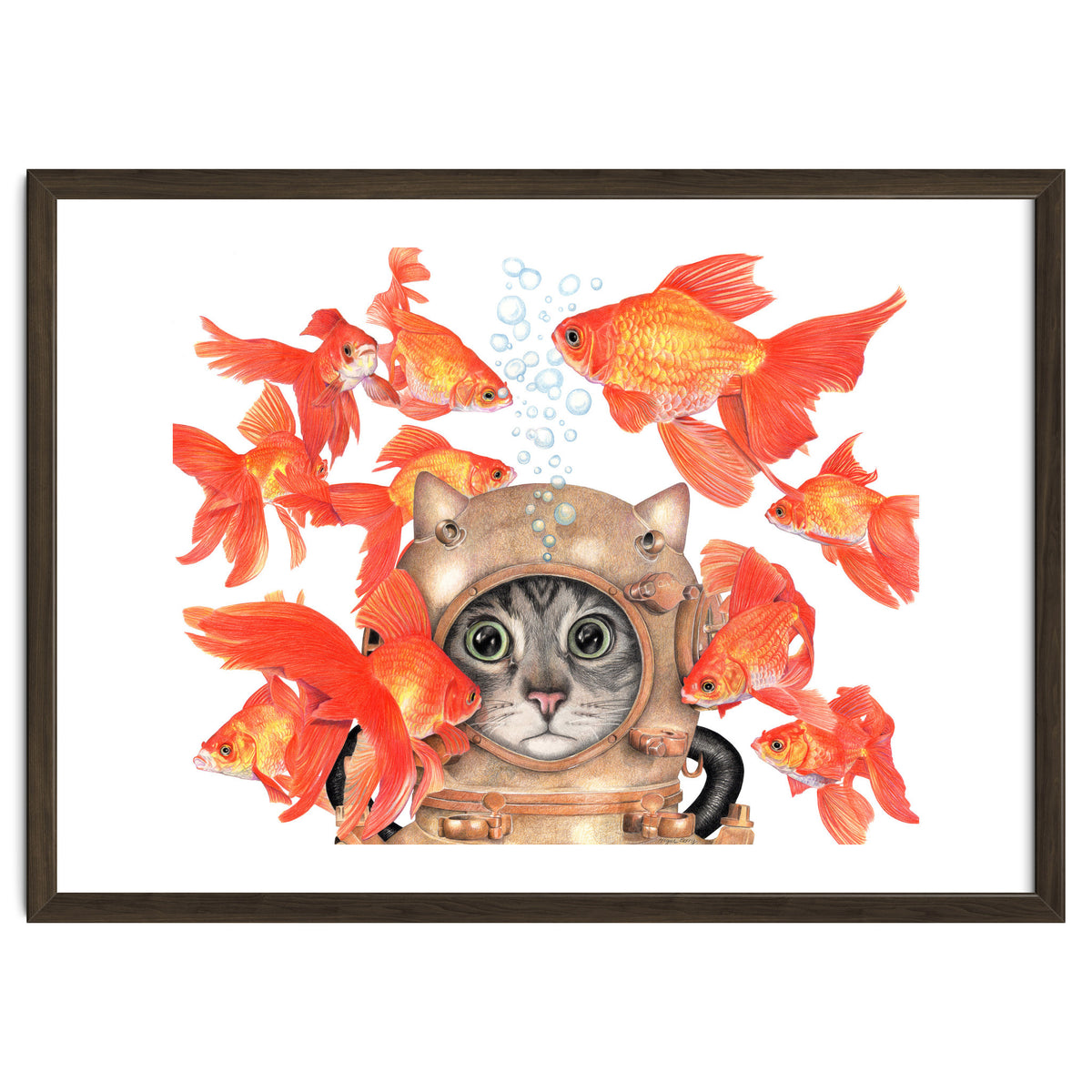 Scuba Catlgbright