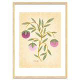 Vintage Fruits thumbnail