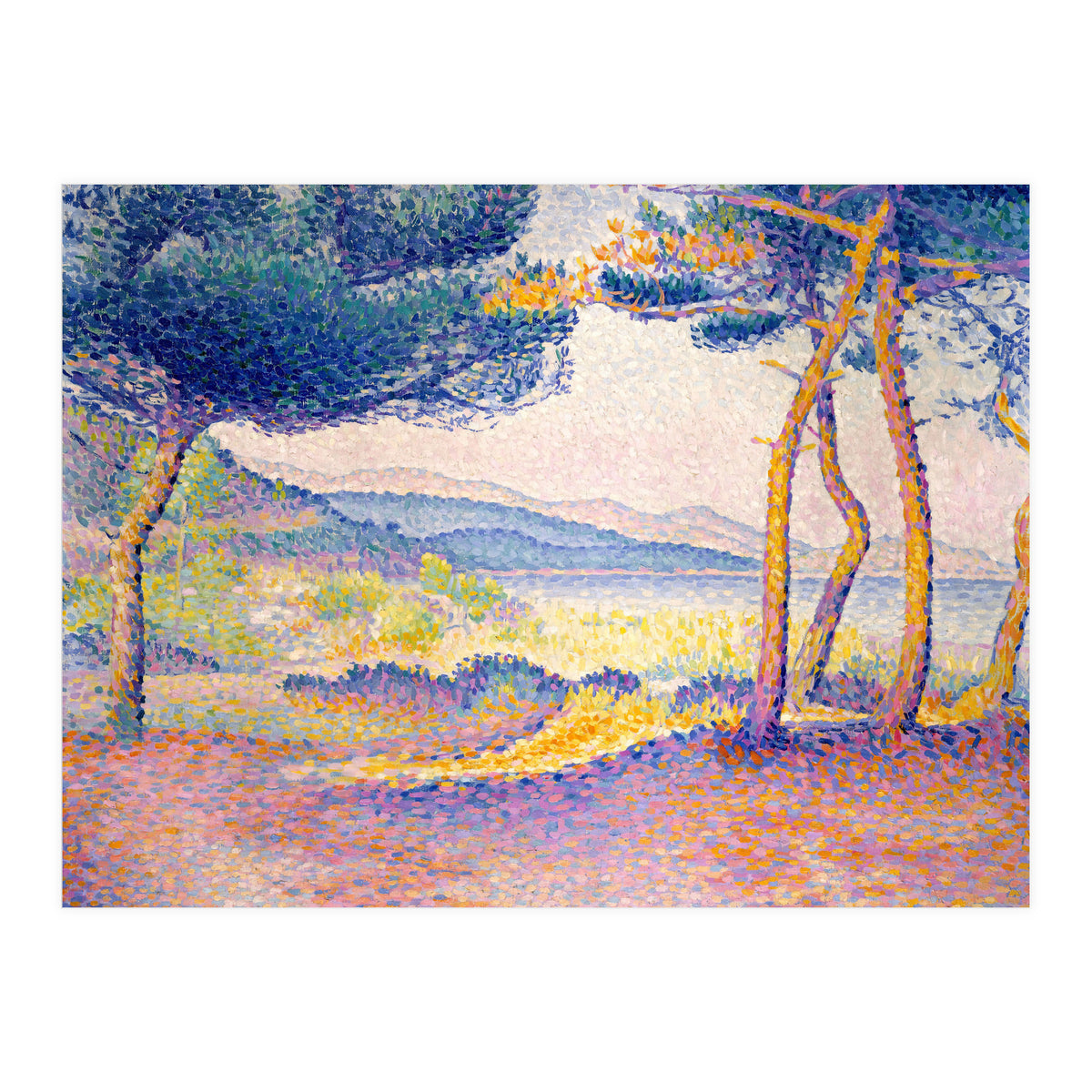 Pines Along the Shore. (Print Only)