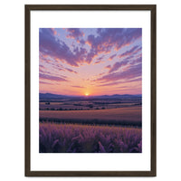 Serene Lavender Fields at Golden Hour Sunset