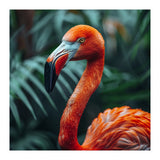 Close Up Of A Vibrant Orange Flamingo Bird (Print Only) thumbnail