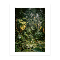 A small jungle in a green house (Print Only)