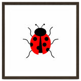 Lady Bug thumbnail