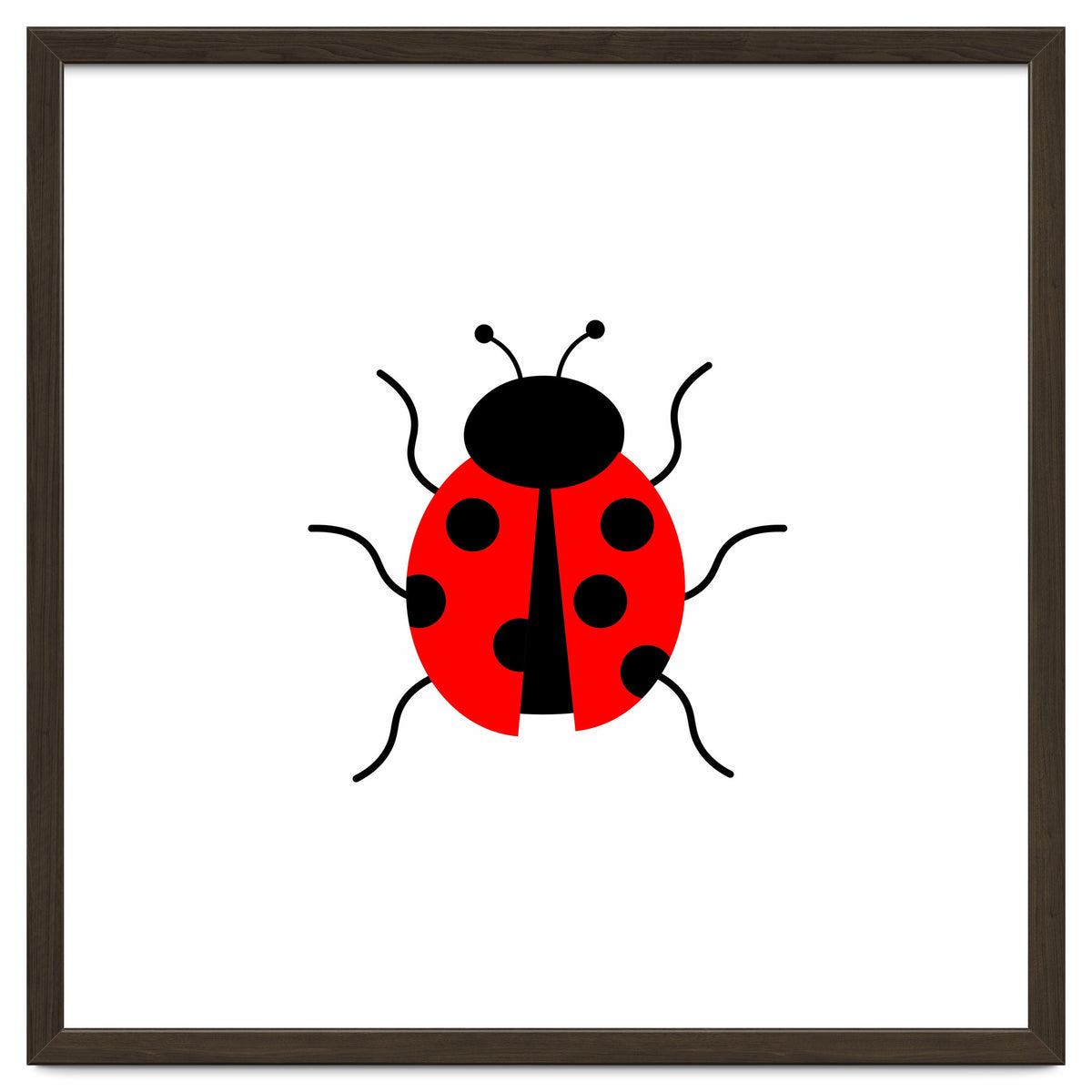 Lady Bug