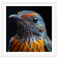 Close Up Of A Colorful Exotic Bird Head