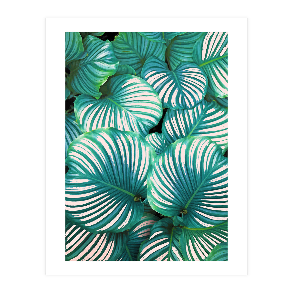 Intemporel #society6 #decor #buyart (Print Only)