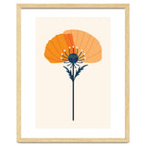 Orange Half Poppy thumbnail