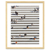 Rain Crossing | Polka Dots Zebra Crossing On The Street | Rain Eclectic Modern Graphic Design thumbnail