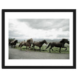 Running horses - Iceland thumbnail