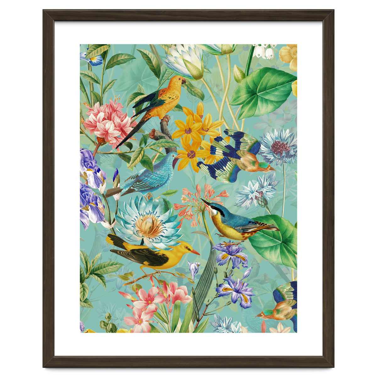 Birds In Tropical Jungle