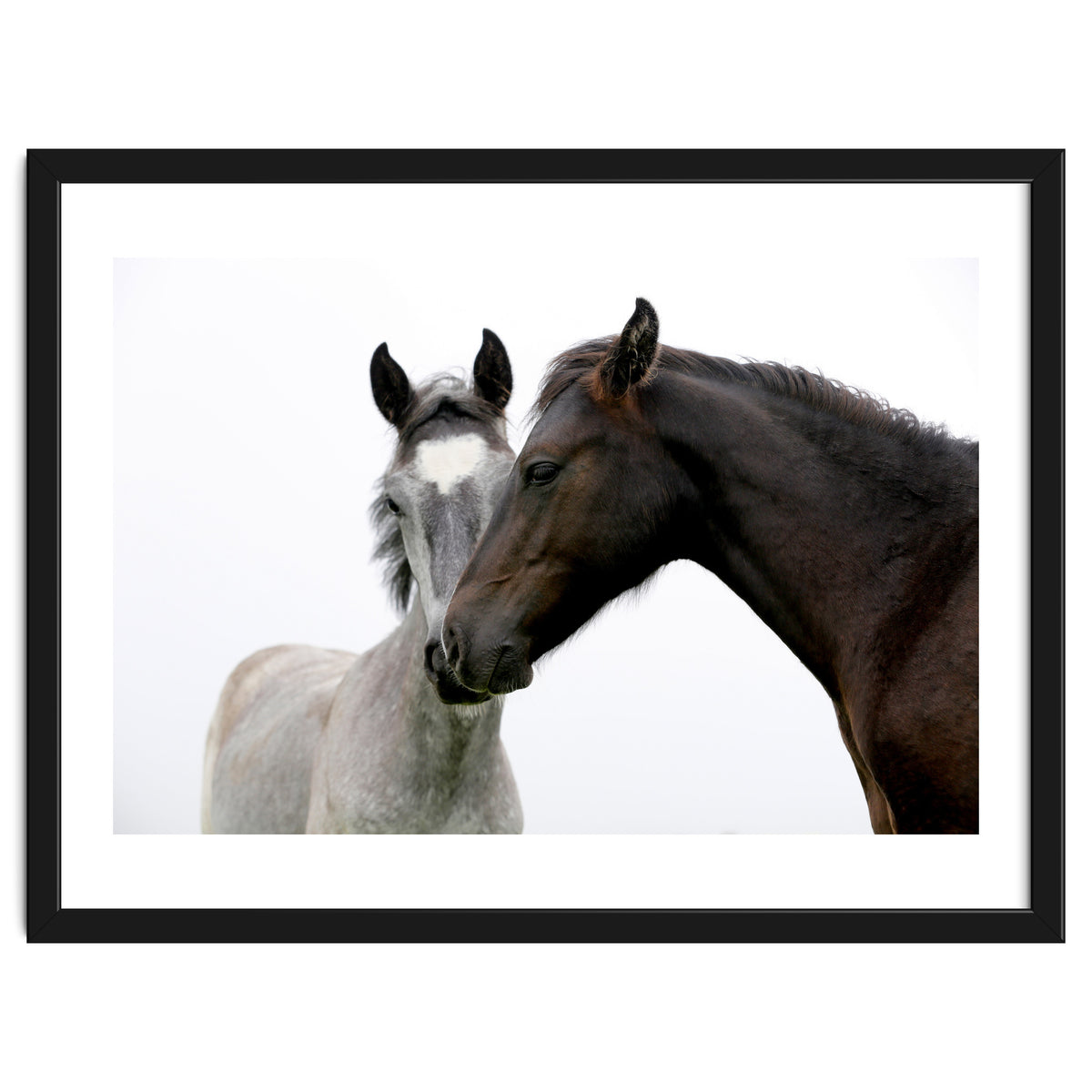 Two Horses