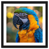 Blue And Yellow Macaw Parrot Close Up Detailed Shot thumbnail