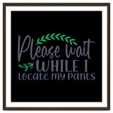 Please Wait While I Locate My Pants thumbnail