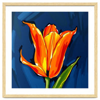 Lily Fresh