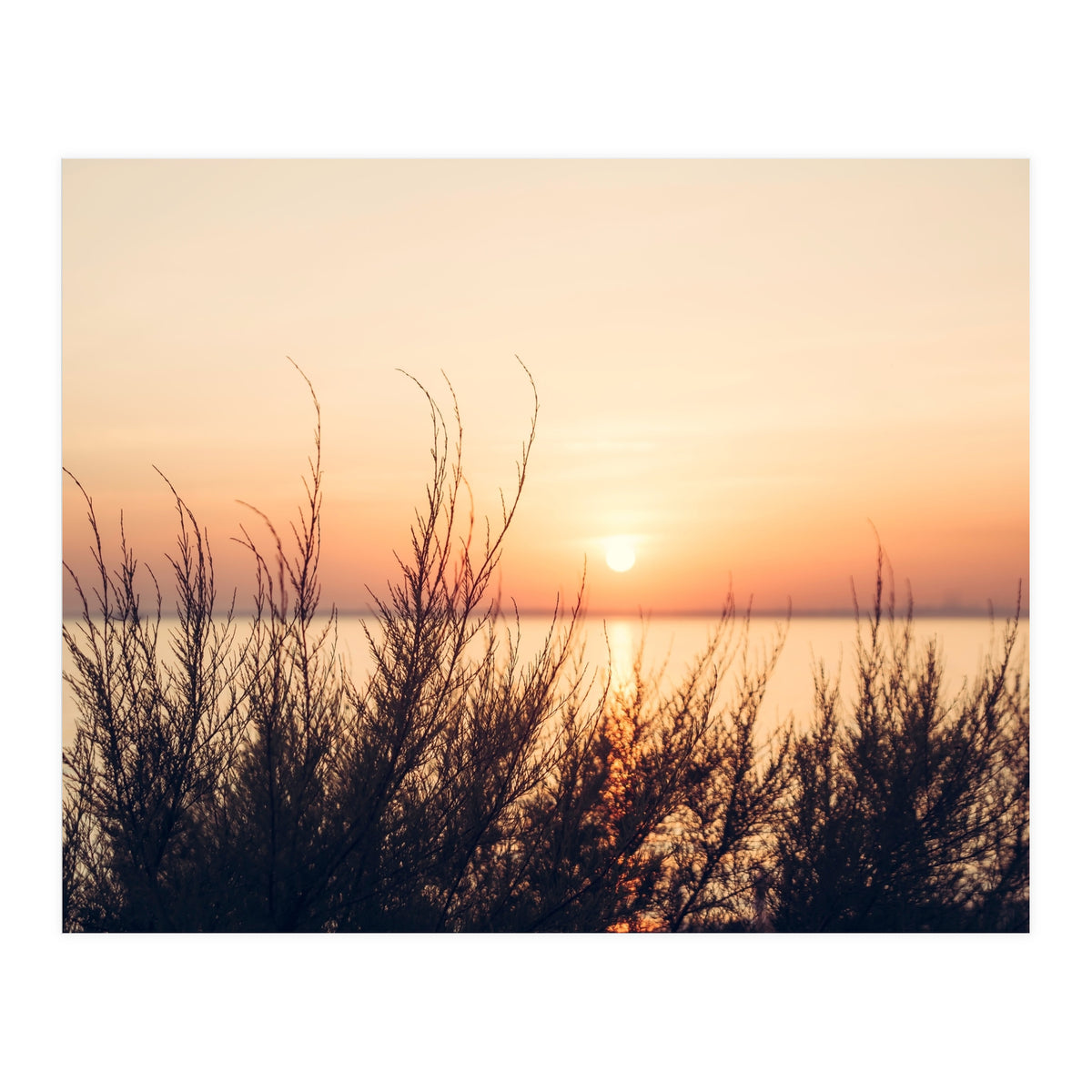 Orange Heatwave 2 (Print Only)