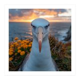 Albatross Bird With Intense Gaze By The Sea (Print Only) thumbnail