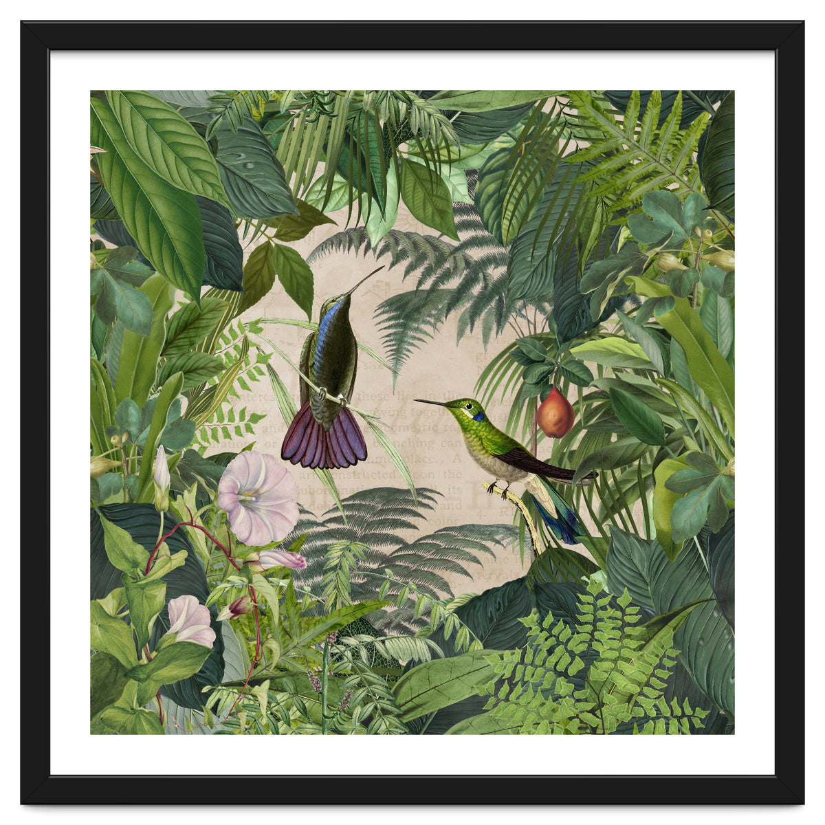 Tropical Hummingbird Jungle