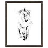 Runninh Ghorse In Water thumbnail
