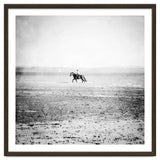 Sea Horse thumbnail