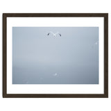 A flying seagull in the winter sky thumbnail