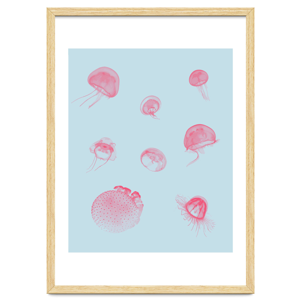 Jellyfish