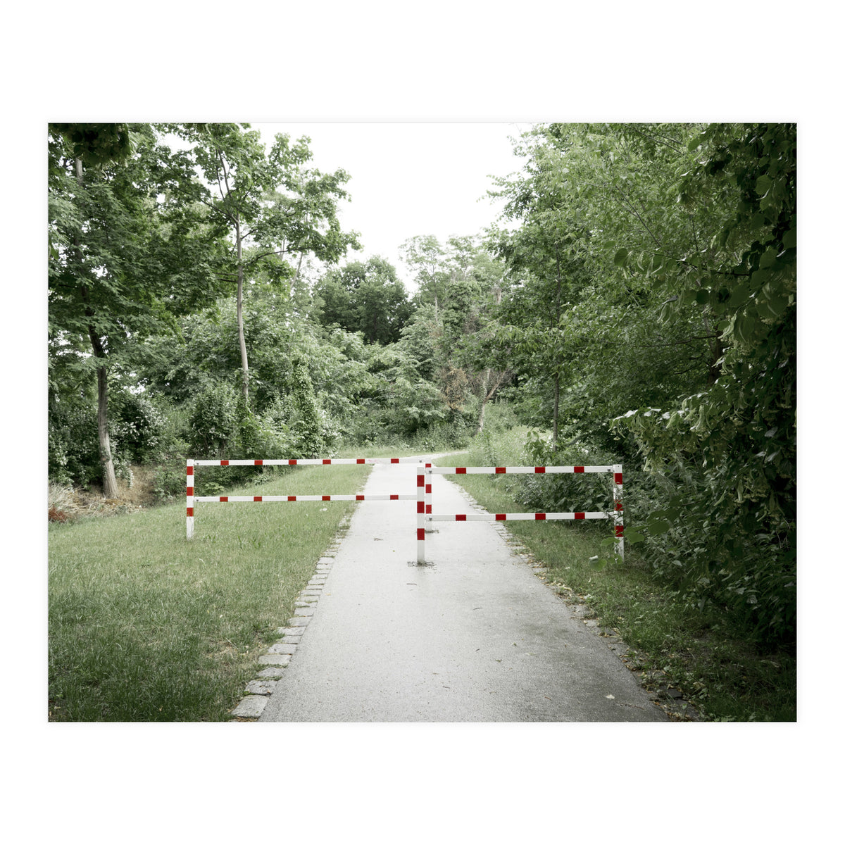 Entrance to the green park (Print Only)